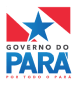 Logo Governo do Pará